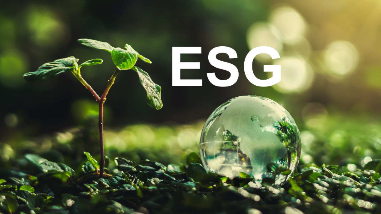 ESG jelentés 2024
