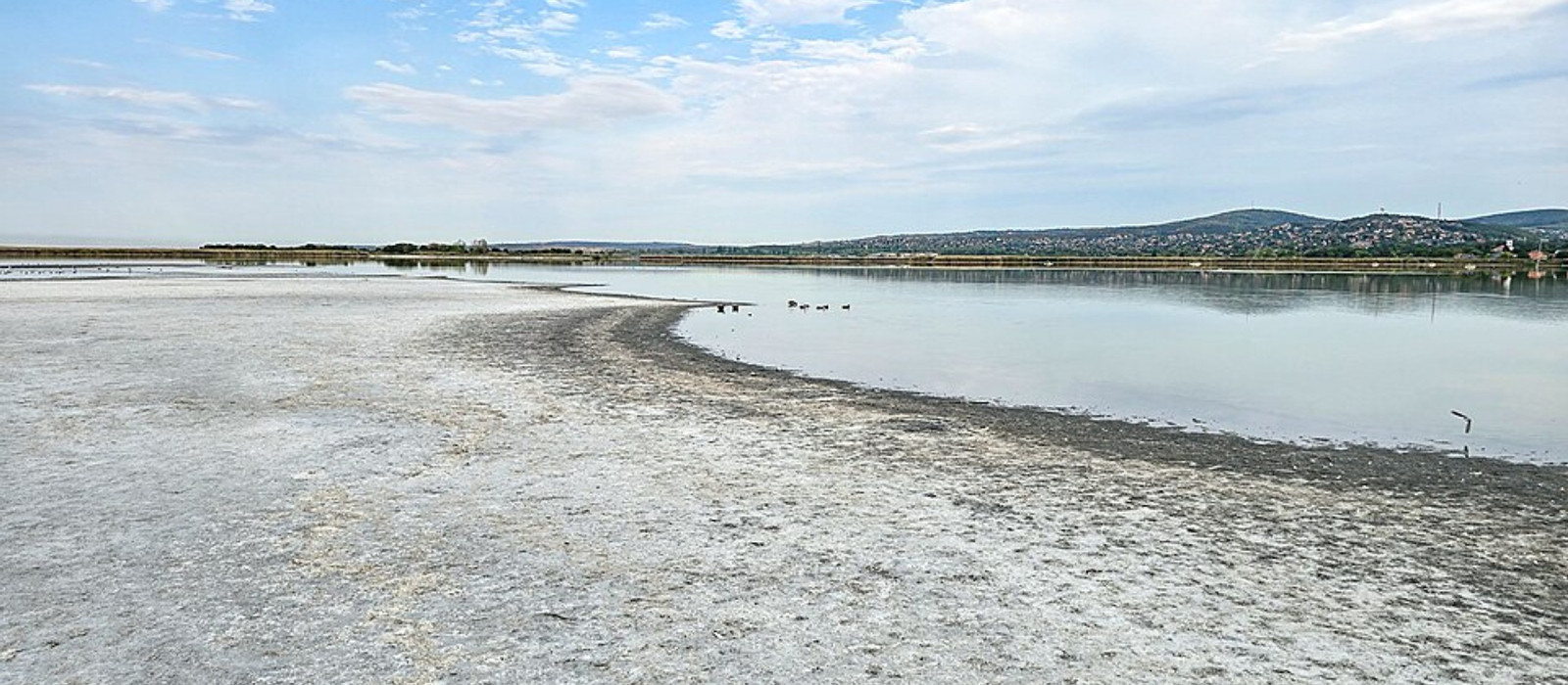 Instead of a Carpathian Desert: How Can We Retain Water?