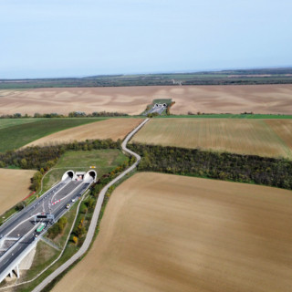 dji_fly_20221024_122544_288_1666607913813_photo_optimized.JPG