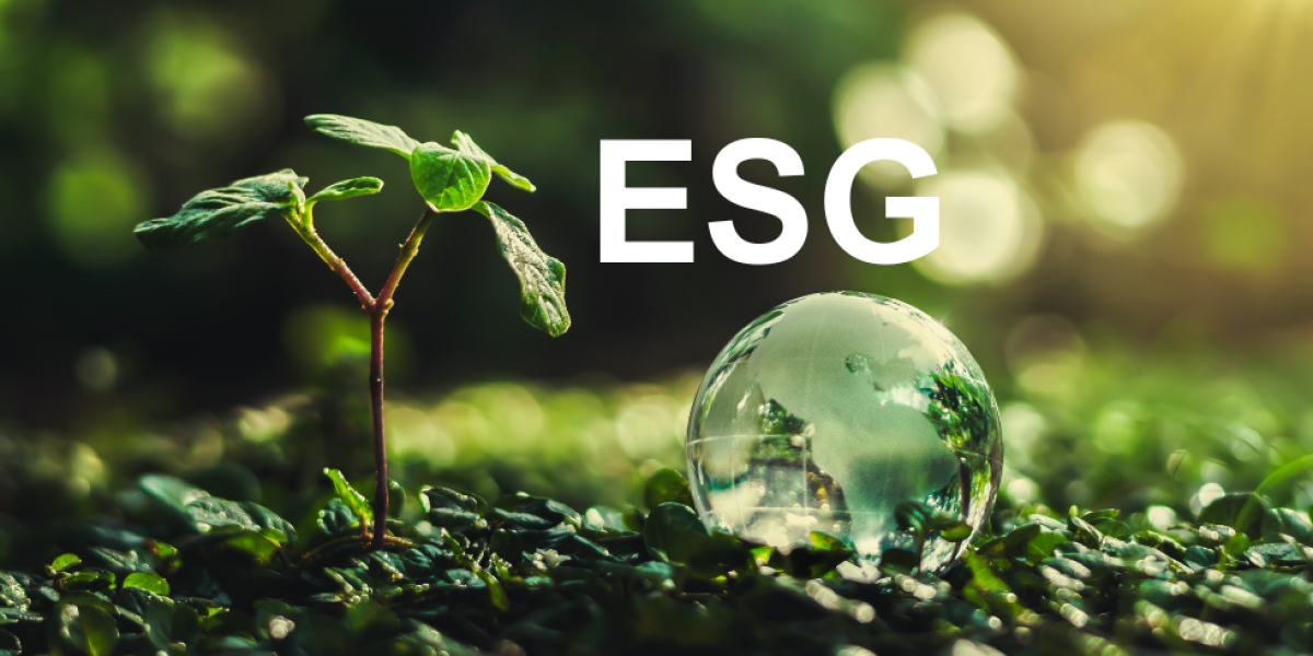ESG jelentés 2024