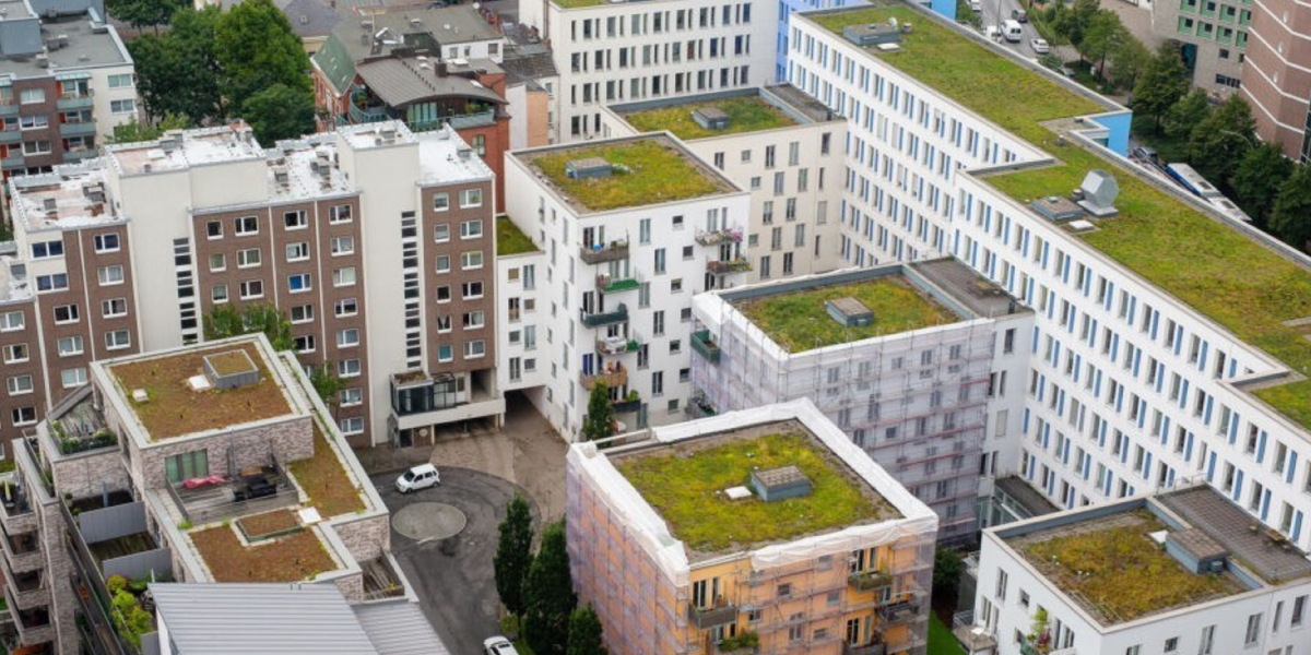 The City as a Sponge: Engineering Responses and the Importance of "Special Structures"