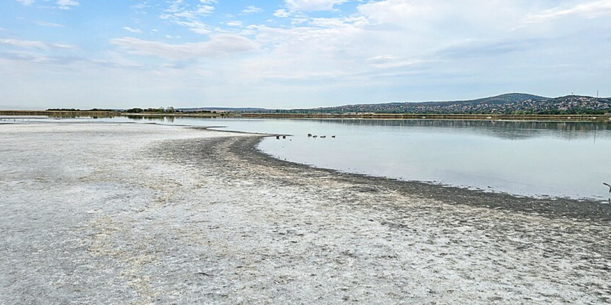 Instead of a Carpathian Desert: How Can We Retain Water?
